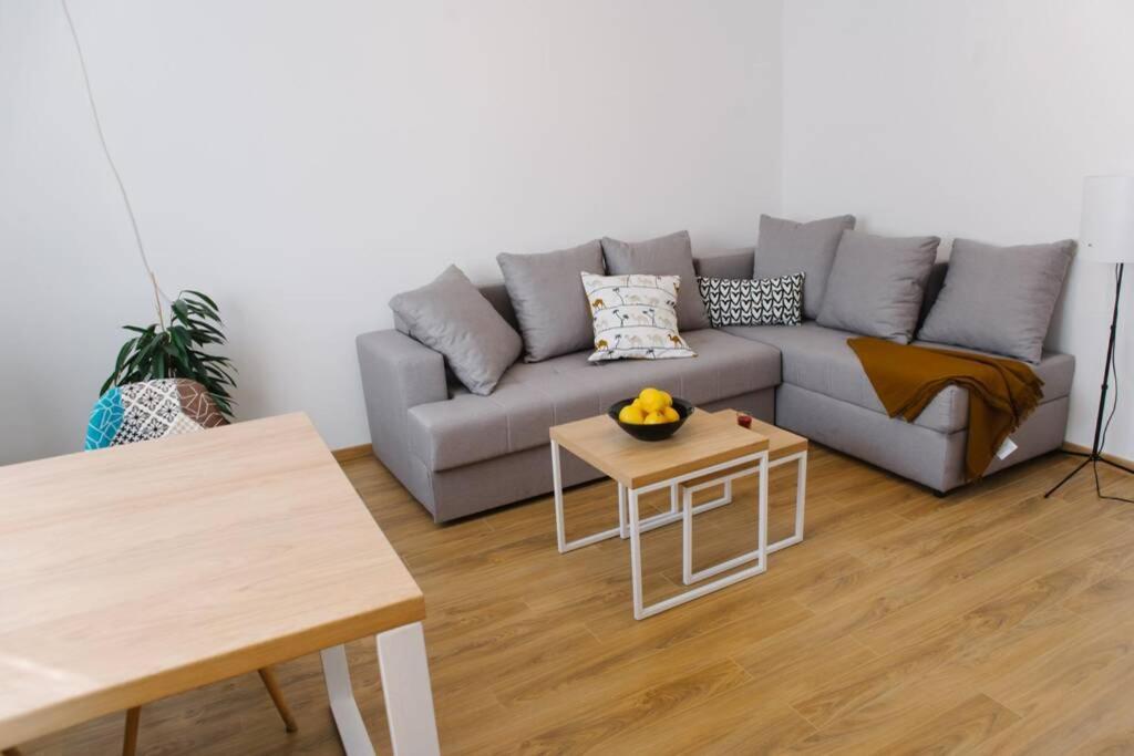 Millennium Bridge Cozy Apartment Top Location Podgorica Extérieur photo